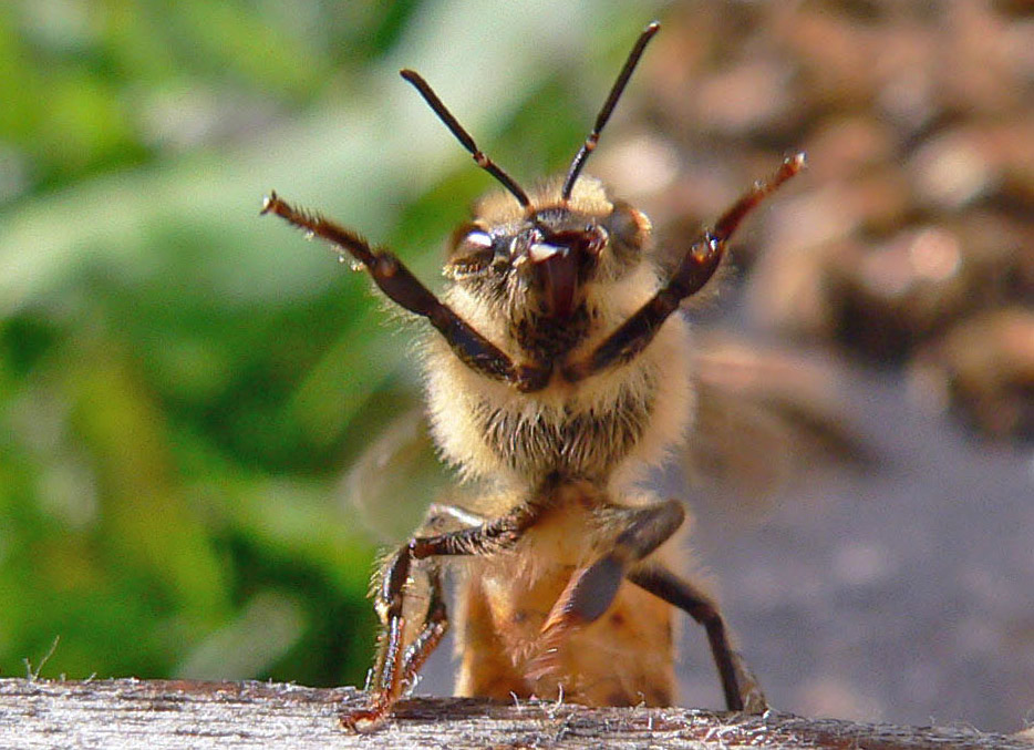 2012 10 24_0979_modifié-1.JPG